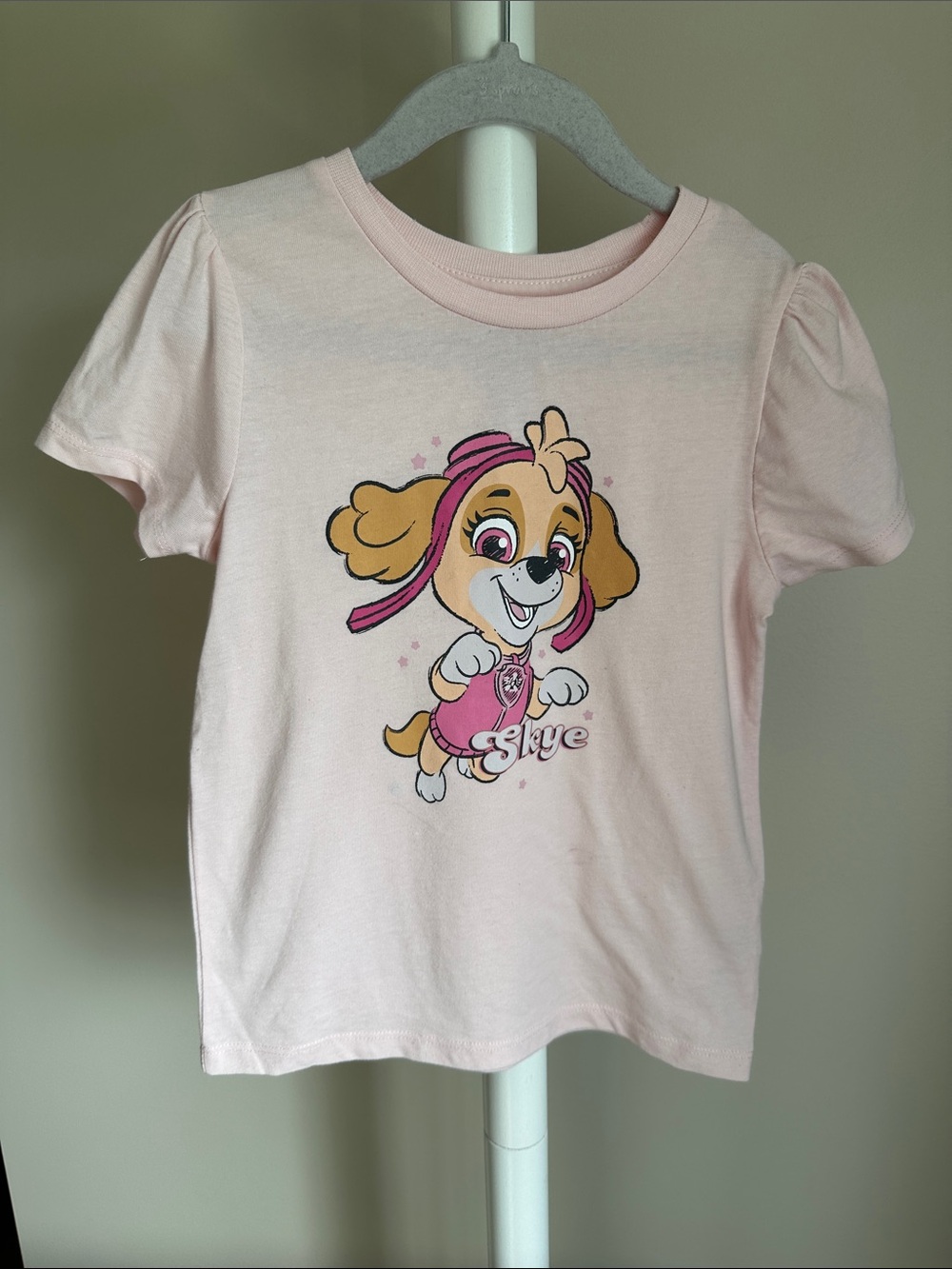 Paw Patrol Skye Short Sleeve T-Shirt 5T